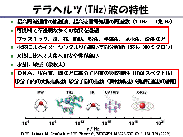 テラヘルツイメージング技術の研究開発